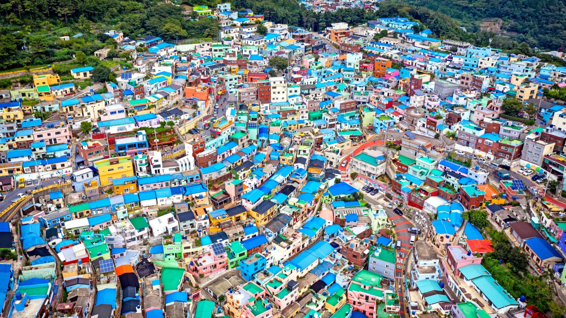 Busan Local Life Tour: Bamboo Forest, Haedongyonggungsa Temple, Gamcheon Culture Village - image 3
