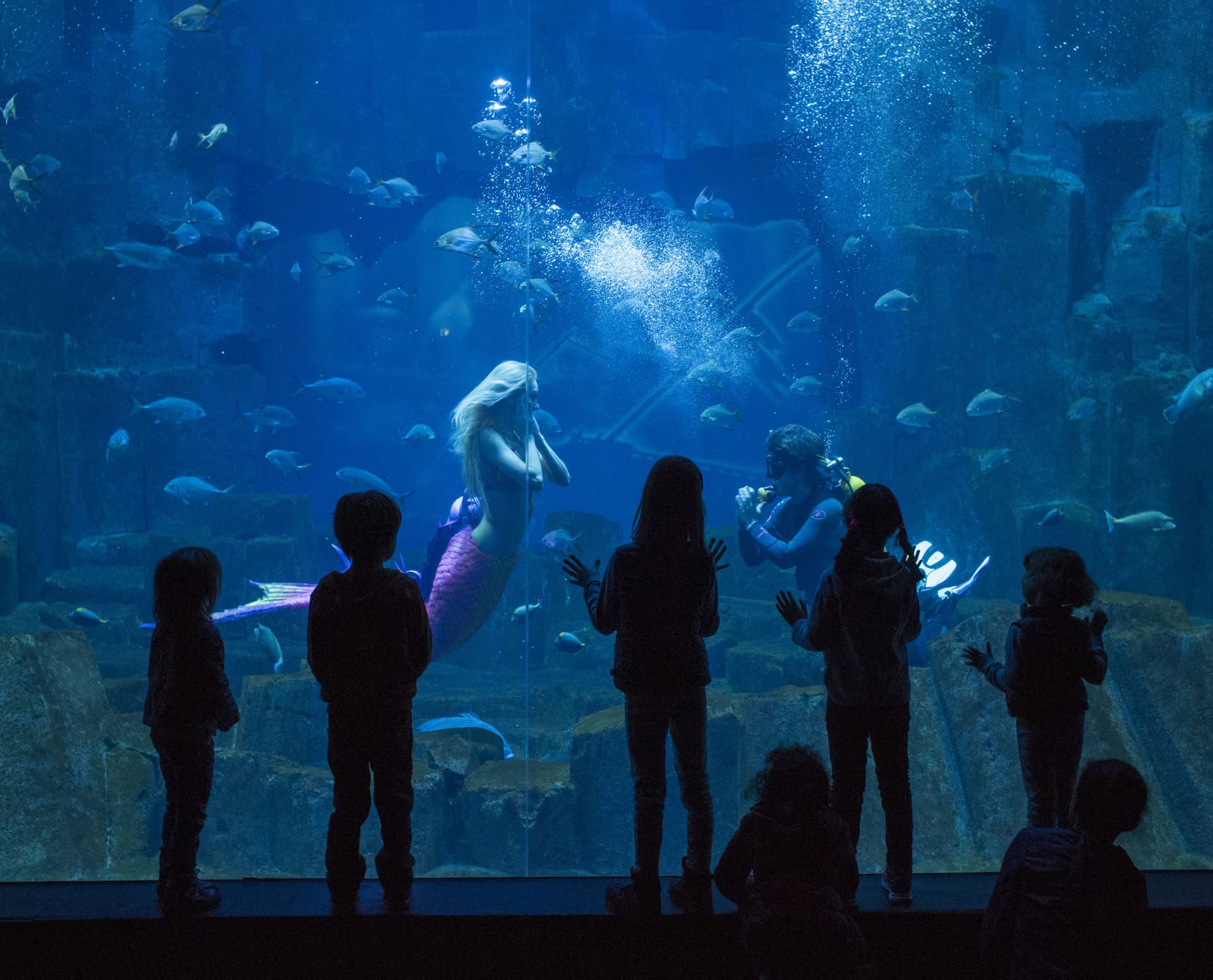 The Paris Pass Plus: Save up to 50% on Attractions - image 26